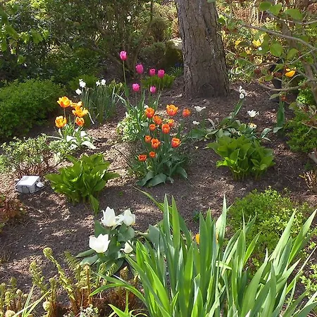 Gesund Wohnen Apartamento *