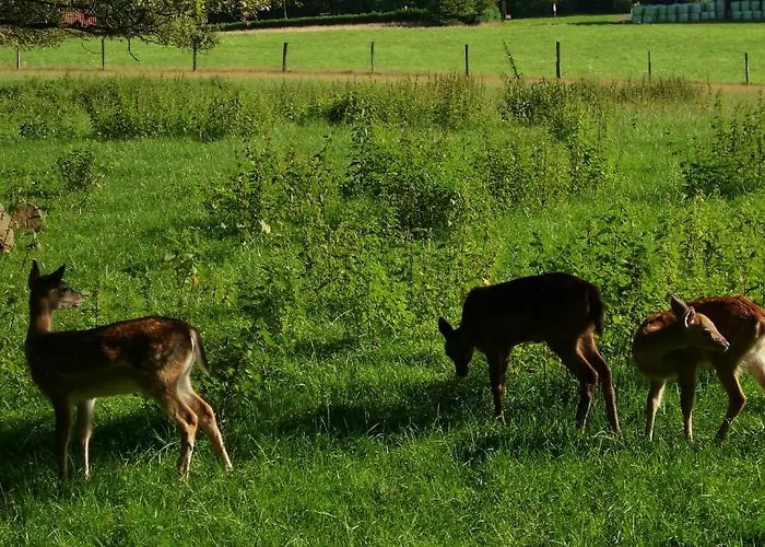 Апартаменты Gesund Wohnen