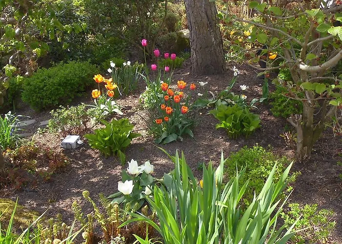 Gesund Wohnen Апартаменты *