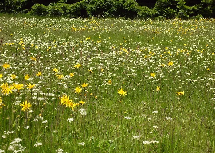 Апартаменты Gesund Wohnen