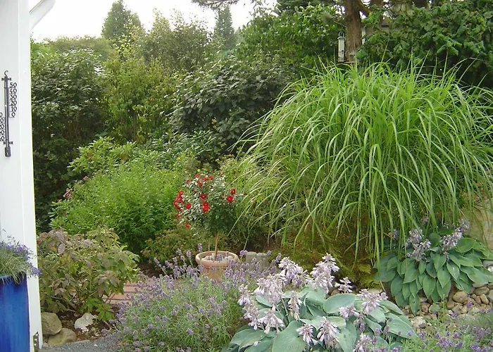 Gesund Wohnen Апартаменты *